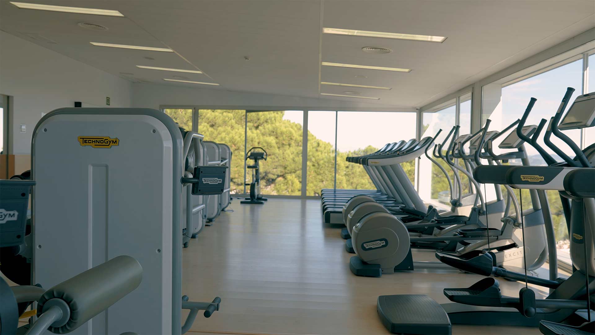 gimnasio