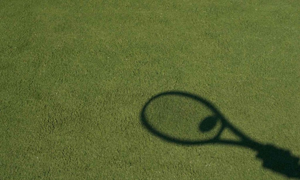 tipo pista tenis hierba